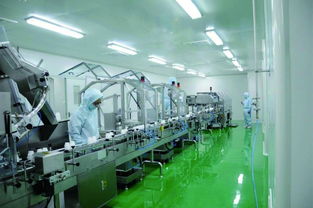 杭州雅琪 精英團隊，共創圖文設計之美